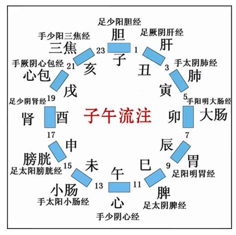 天干 陰陽|一張圖搞懂天干地支與陰陽五行的關係